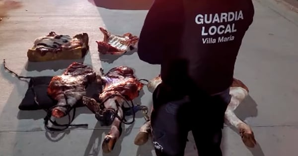 Secuestraron más de 350 kilos de carne en Villa María.