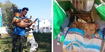 Los chicos no se separan de sus mascotas