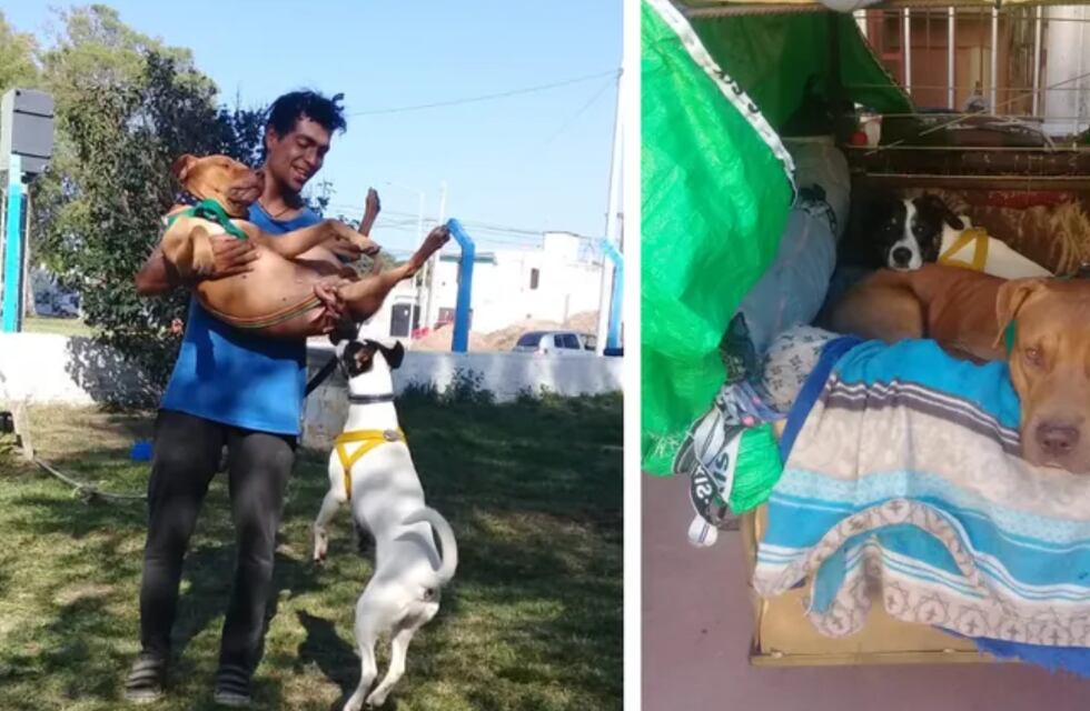 Amor del bueno: una pareja viaja de Rosario a San Juan en bici para llevar a sus perros en un carrito