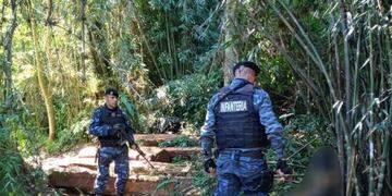 La policía evitó el robo de madera nativa en la Biosfera del Yabotí.