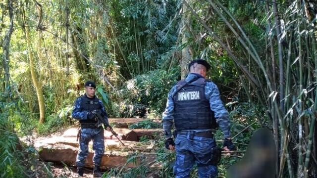 La policía evitó el robo de madera nativa en la Biosfera del Yabotí.