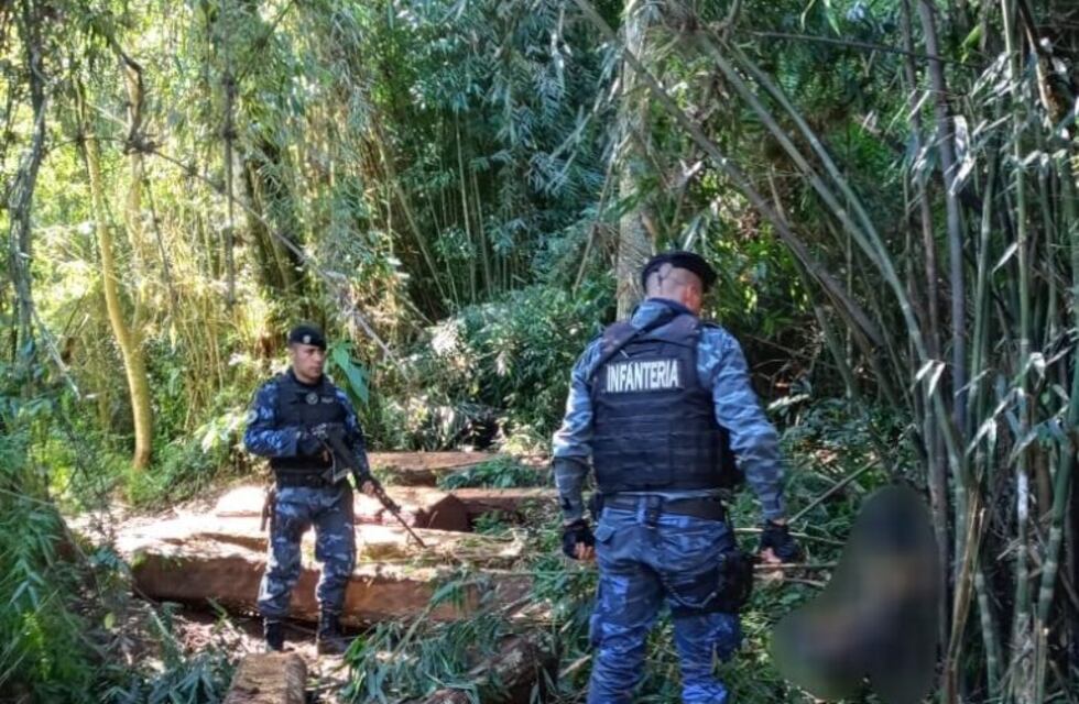 La policía evitó el robo de madera nativa en la Biosfera del Yabotí