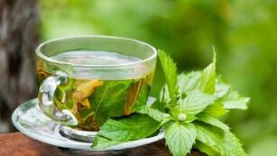 Cuáles son los beneficios y secretos de tomar el té de boldo