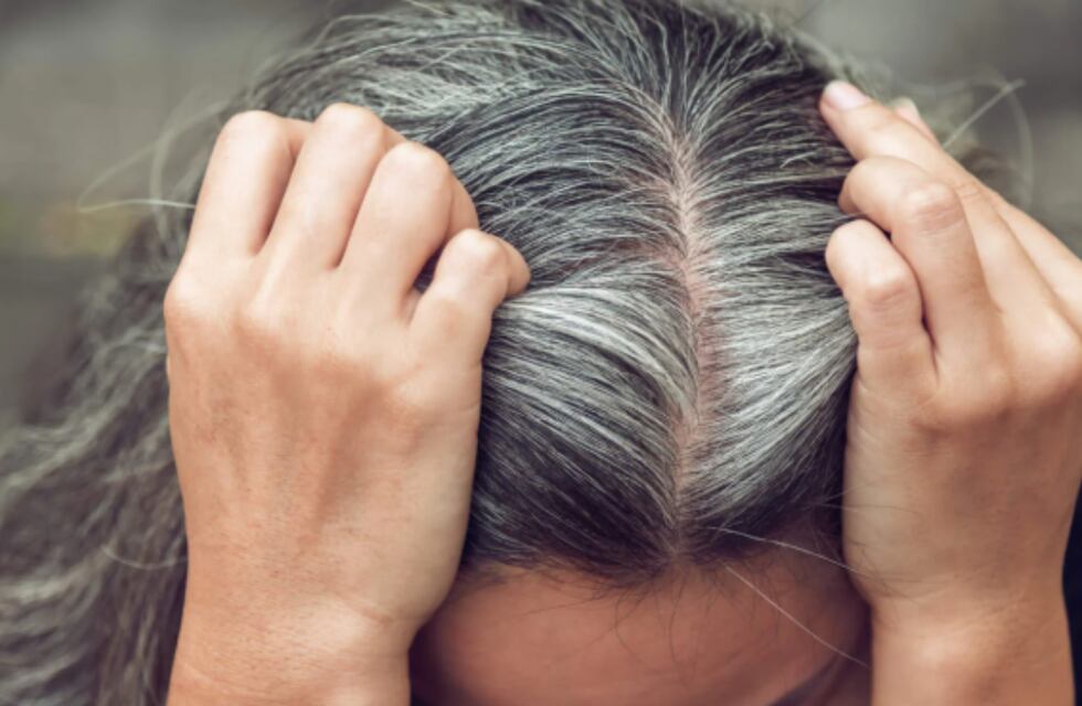 Chau canas: las 3 maneras de eliminarlas del pelo y volver al color natural