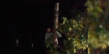 Intentó robar cables pero fue visto por los vecinos.