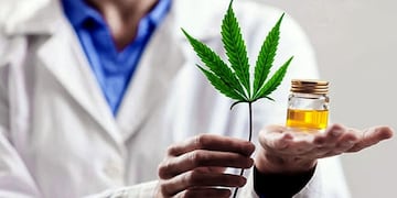 En El Trapiche se realizará el Primer Congreso Integral de Cannabis Medicinal. El evento será virtual y presencial. Gentileza