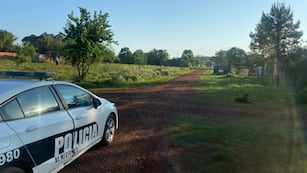 Un niño de 7 años fue atacado por dos perros pitbull en Posadas y debió ser hospitalizado.