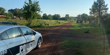 Un niño de 7 años fue atacado por dos perros pitbull en Posadas y debió ser hospitalizado.