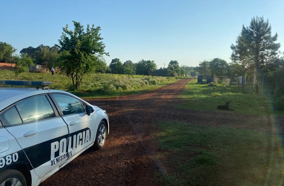 Un niño de 7 años fue atacado por dos perros pitbull en Posadas y debió ser hospitalizado