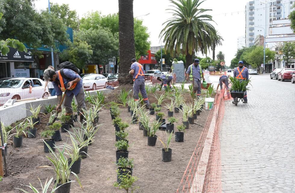 Colocaron plantines en el primer cantero de Bv. Santa Fe