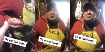 El video se hizo viral en las redes sociales, donde le sacó una carcajada a más de un usuario.