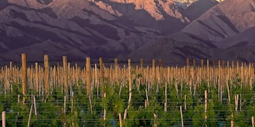 El pueblo escondido en Mendoza que cuenta con los mejores vinos del país