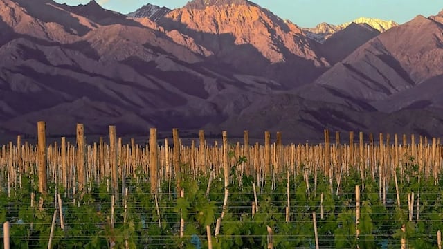 El pueblo escondido en Mendoza que cuenta con los mejores vinos del país