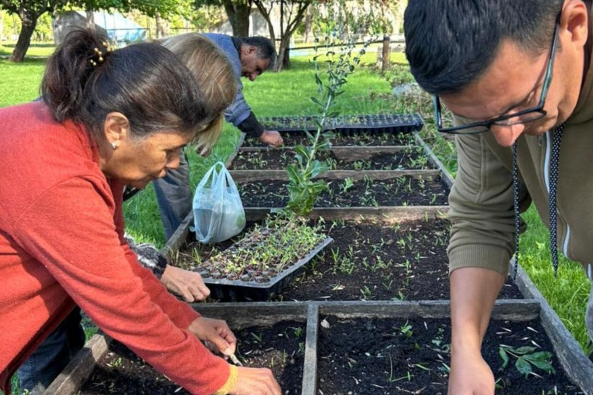 Centro de Día “De Cara al Sol”