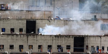 Motines en Ecuador. (EFE/Robert Puglla)