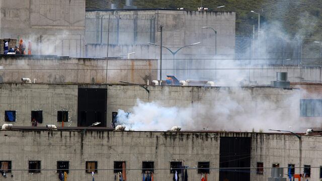 Motines en Ecuador. (EFE/Robert Puglla)