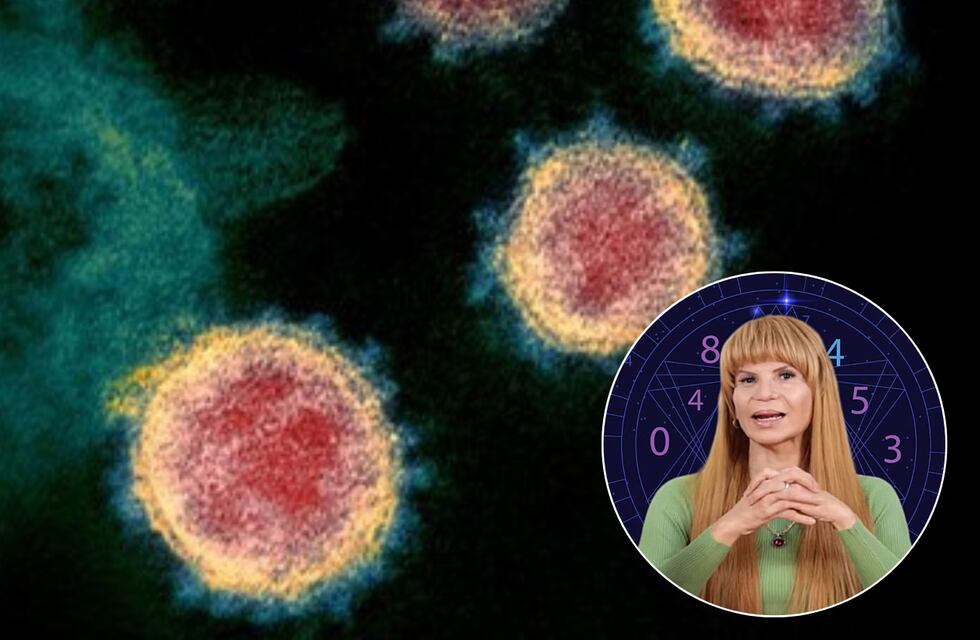 La terrible predicción de Mhoni Vidente que encendió las alarmas sobre un nuevo virus: “Es el año de la pandemia...”