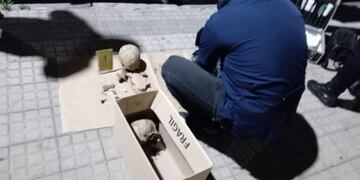 La Plata: iban a poner plantas en el patio y encontraron restos humanos enterrados.