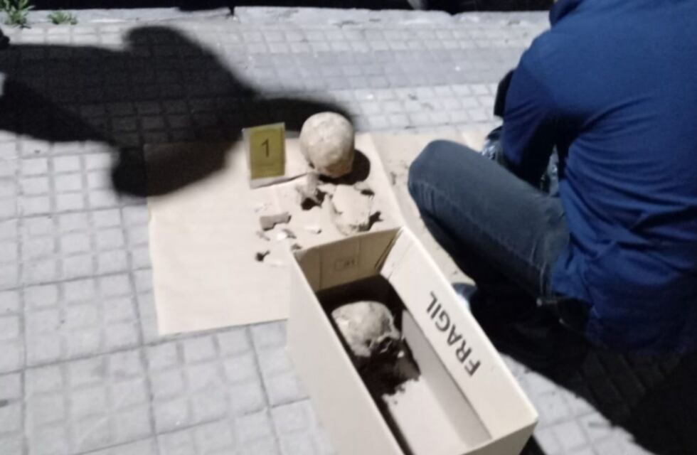 Macabro hallazgo en La Plata: iban a poner plantas en su patio y encontraron restos humanos