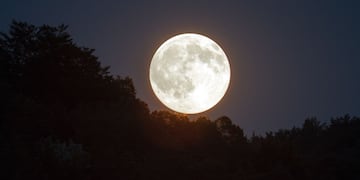 Luna Llena en noviembre 2024: el ritual infalible para atraer abundancia al hogar