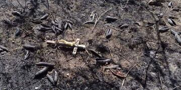 Un incendio arrasó con todo menos con un crucifijo.