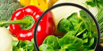 Prevenir intoxicaciones alimentarias en épocas de fiestas