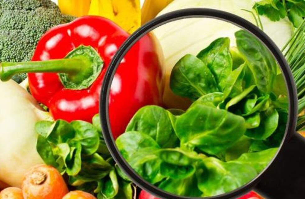 La importancia de prevenir intoxicaciones alimentarias en épocas de fiestas