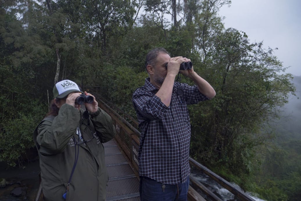 Exitoso primer encuentro internacional de observación de aves en Puerto Iguazú.