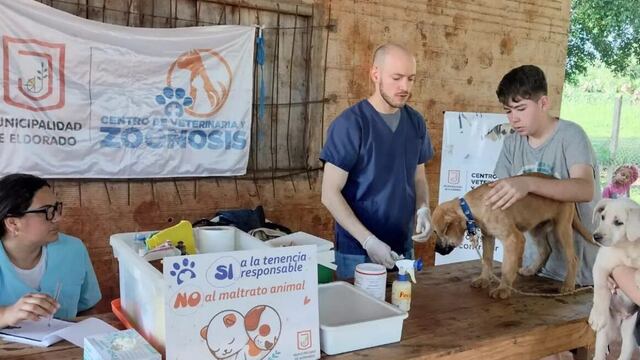 Eldorado: realizarán operativo de zoonosis.