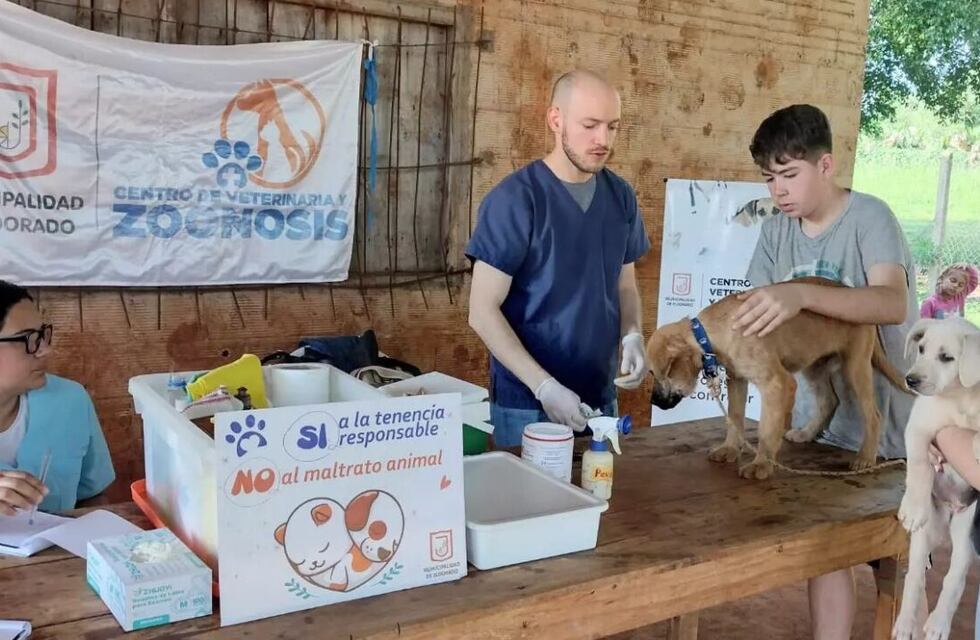 Eldorado: realizarán operativo de zoonosis