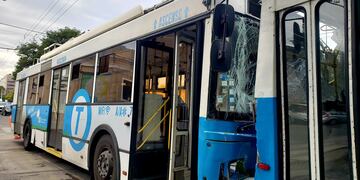 Dos colectivos de TAMSE chocaron en barrio General Paz.