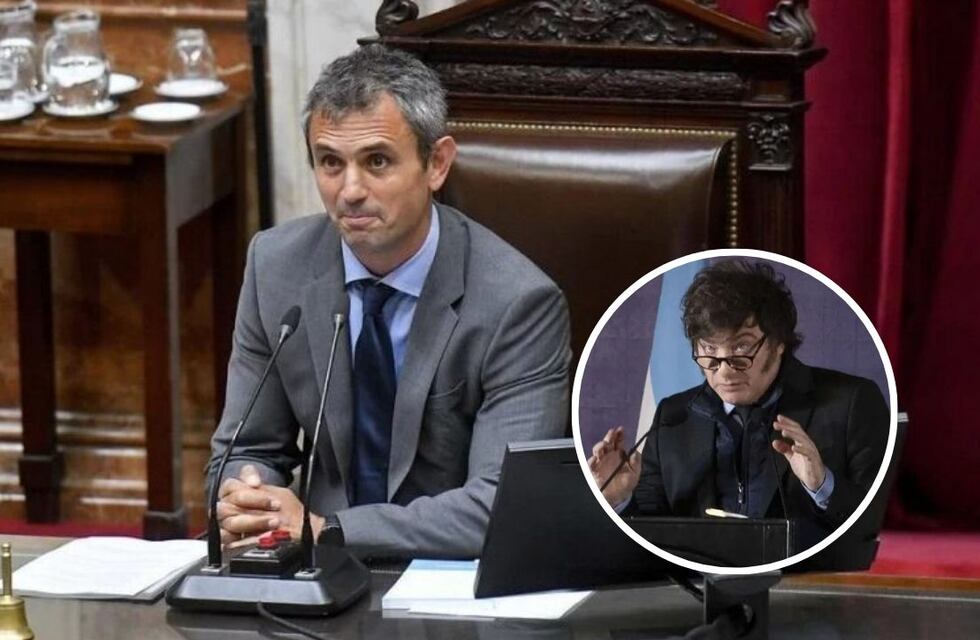 En 9 meses del gobierno de Javier Milei, las principales medidas de la gestión según Martín Menem