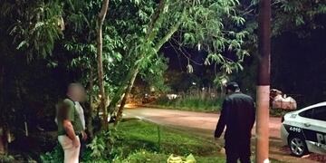 Efectivos policiales hallaron marihuana en un espacio verde de Eldorado.