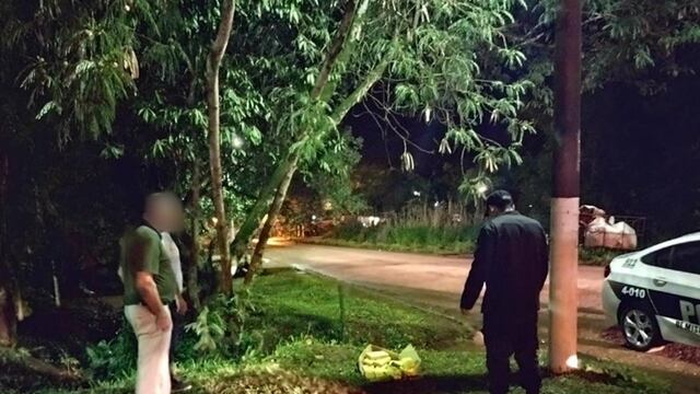Efectivos policiales hallaron marihuana en un espacio verde de Eldorado.