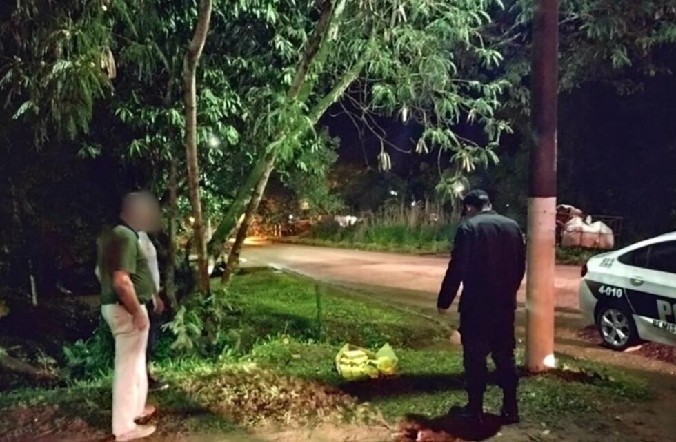 Efectivos policiales hallaron marihuana en un espacio verde de Eldorado