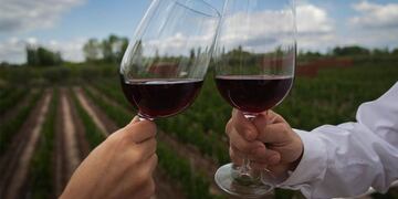 Mendoza es sede del Mundial de las bodegas, World's Best Vineyards.
