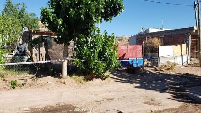 Conmoción en Neuquén: un niño de dos años murió por golpes y detuvieron a su padrastro.