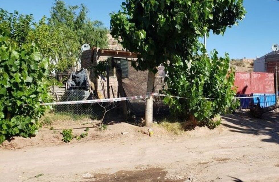 Conmoción en Neuquén: un niño de dos años murió por golpes y detuvieron a su padrastro