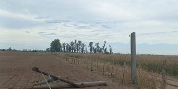 Guardia Electrica de CESPAL trabajaron para restituir el servicio eléctrico rural