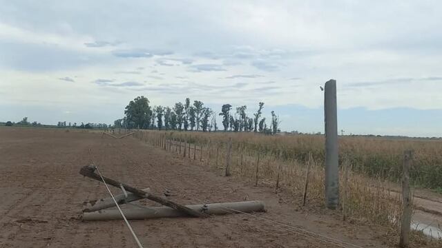 Guardia Electrica de CESPAL trabajaron para restituir el servicio eléctrico rural