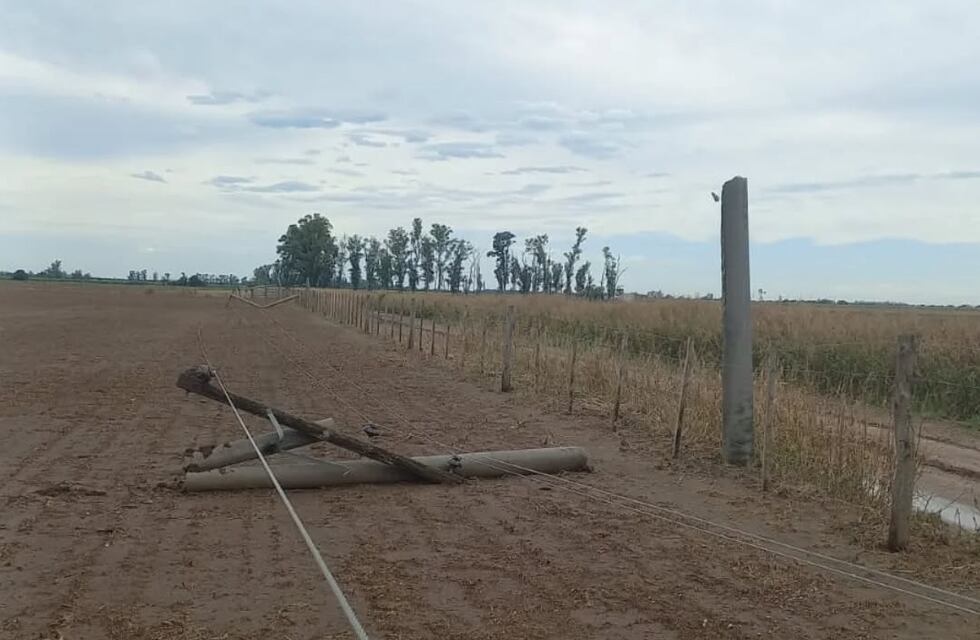 Arduo trabajo de la guardia eléctrica de CESPAL para restituir el servicio rural en la zona