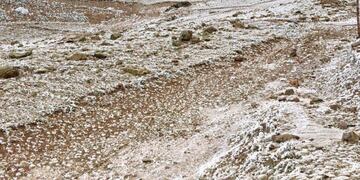 Aunque aún no ha nevado en la zona de Vallecitos, se puede observar un hermoso paisaje blanco. La razón es la cencellada blanca.