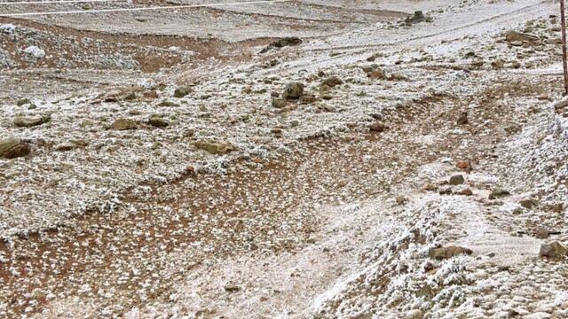 Aunque aún no ha nevado en la zona de Vallecitos, se puede observar un hermoso paisaje blanco. La razón es la cencellada blanca.