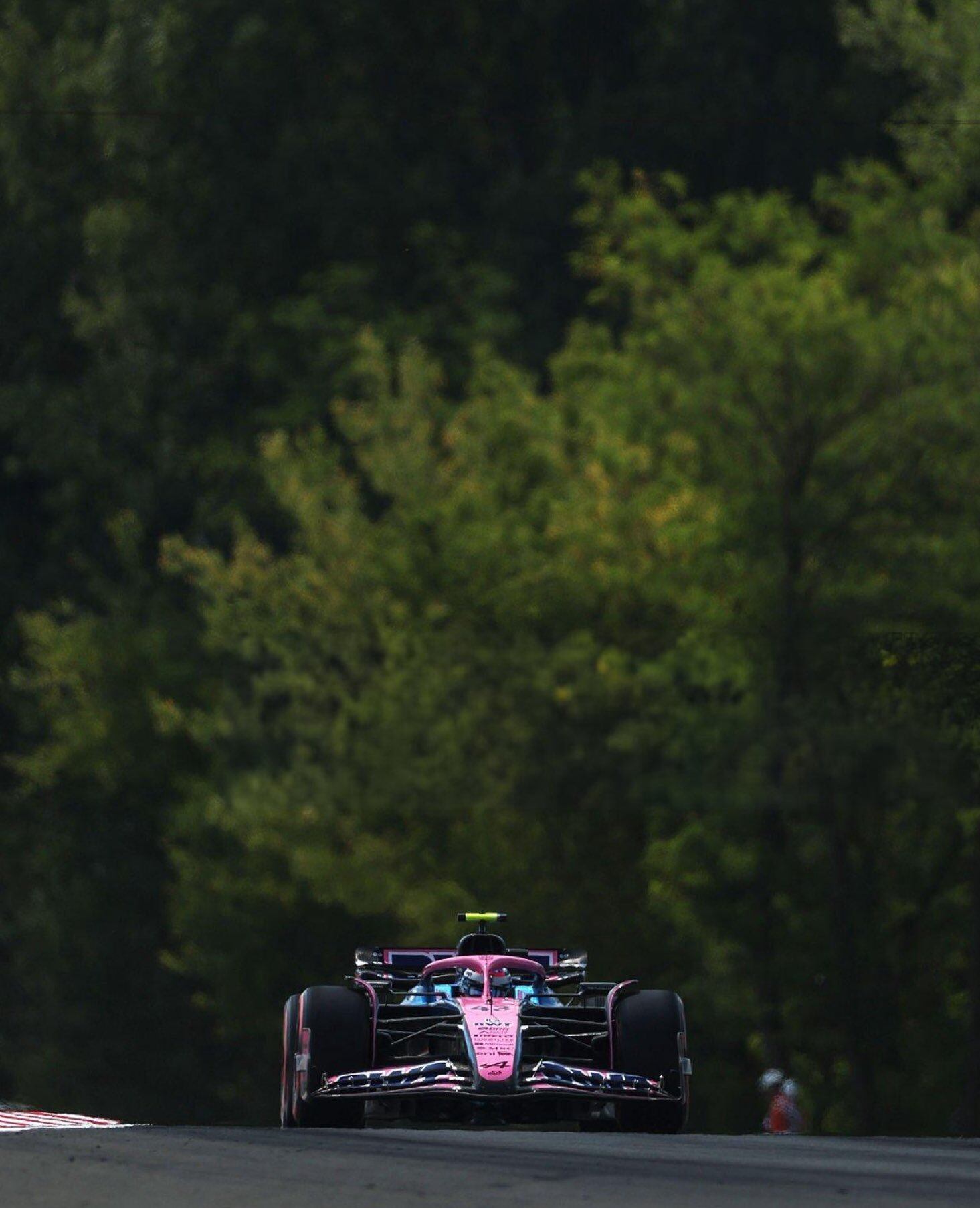 Al final, una penalización de 10 segundos a Gasly dejó a Colapinto 18° y antepenúltimo, justo por delante de su compañero de equipo.