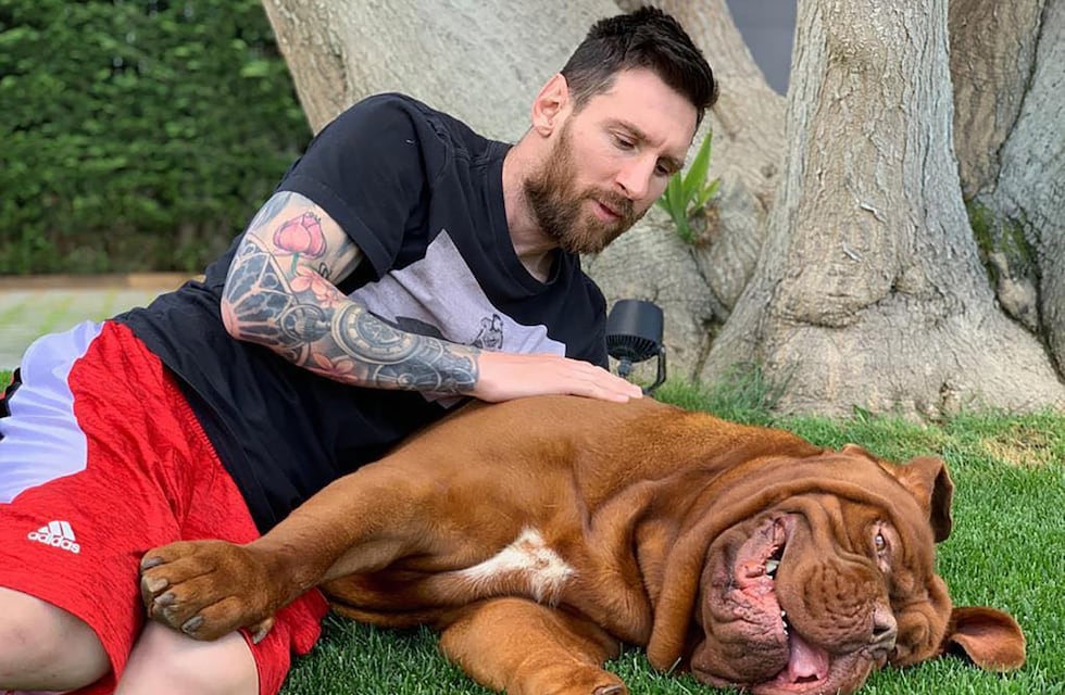 Lionel Messi reveló el triste motivo por el que su perro Hulk no viajó a Miami con la familia