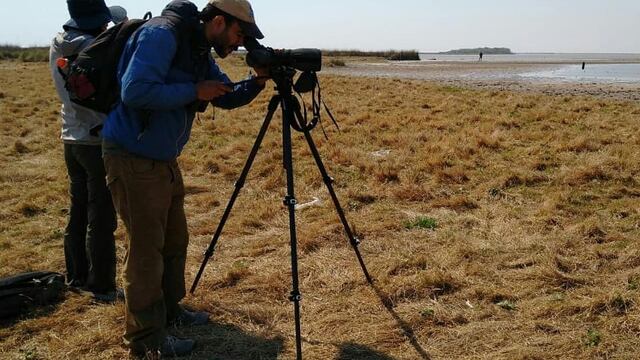 La observación de aves