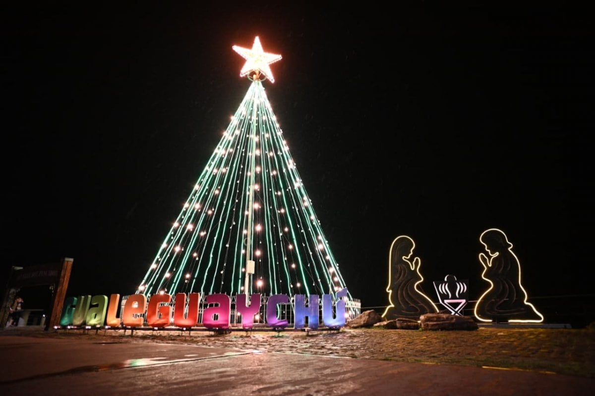 El Árbol de Navidad y el pesebre quedaron oficialmente habilitados