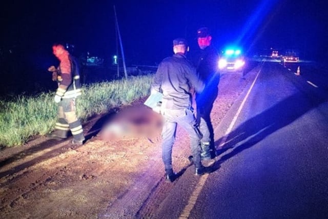 Un peatón falleció tras un siniestro vial en la Ruta Nacional 12, en Jardín América.