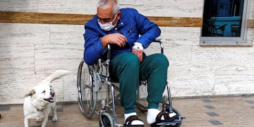 Boncuk esperó a su dueño, Cemal, en la entrada del hospital de Trabzon durante casi una semana.