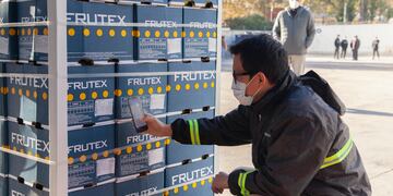 Registro electrónico para control fitosanitario en cítricos